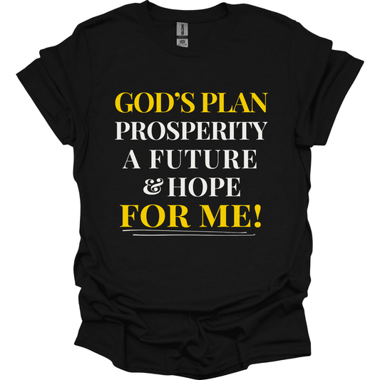 God's Plan for me Prosperity Hope Future T-Shirt
