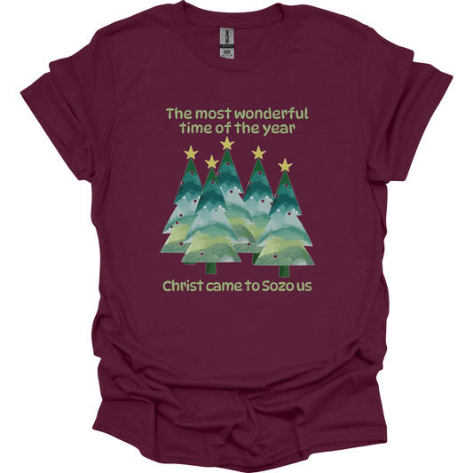 Most wonderful time of the year T-Shirt