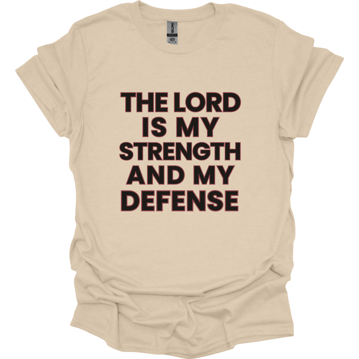 The Lord my Strength & Defense T-Shirt